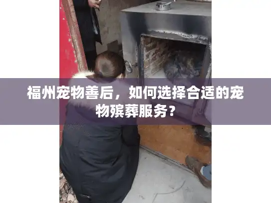 福州宠物善后,如何选择合适的宠物殡葬服务? 福州宠物善后,如何选择合适的宠物殡葬服务?
