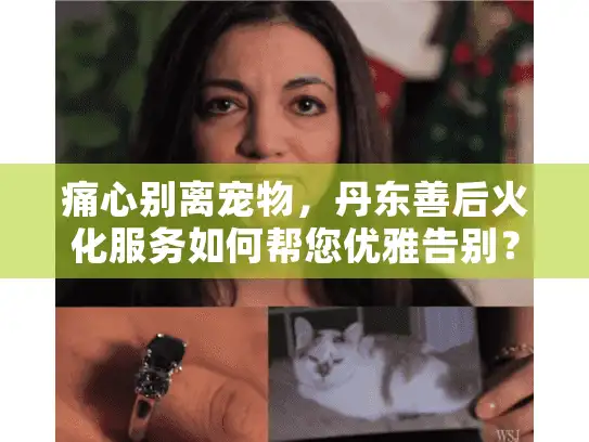 痛心别离宠物，丹东善后火化服务如何帮您优雅告别？