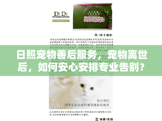 日照宠物善后服务,宠物离世后,如何安心安排专业告别? 日照宠物善后服务,宠物离世后,如何安心安排专业告别?