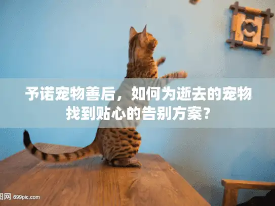 予诺宠物善后，如何为逝去的宠物找到贴心的告别方案？