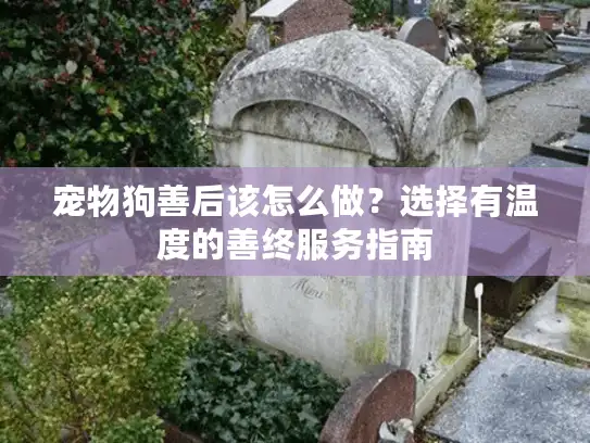 宠物狗善后该怎么做？选择有温度的善终服务指南