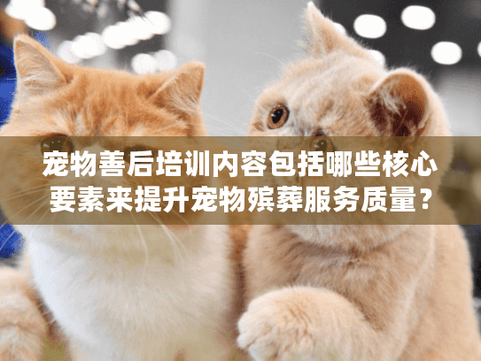 宠物善后培训内容包括哪些核心要素来提升宠物殡葬服务质量？