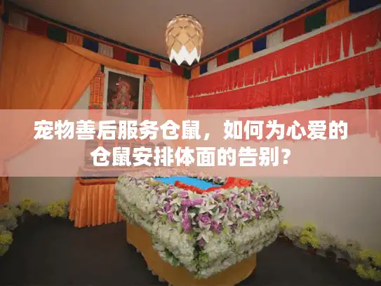 宠物善后服务仓鼠，如何为心爱的仓鼠安排体面的告别？