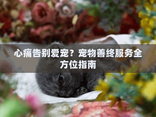 心痛告别爱宠?宠物善终服务全方位指南 心痛告别爱宠?宠物善终服务全方位指南