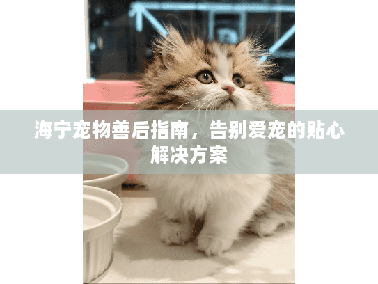 海宁宠物善后指南，告别爱宠的贴心解决方案