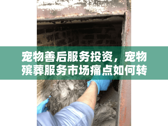 宠物善后服务投资，宠物殡葬服务市场痛点如何转化为商机？