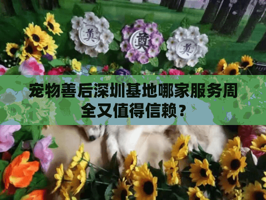 宠物善后深圳基地哪家服务周全又值得信赖? 宠物善后深圳基地哪家服务周全又值得信赖?