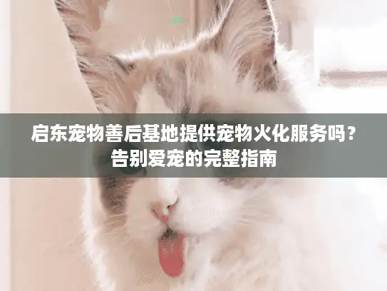 启东宠物善后基地提供宠物火化服务吗？告别爱宠的完整指南