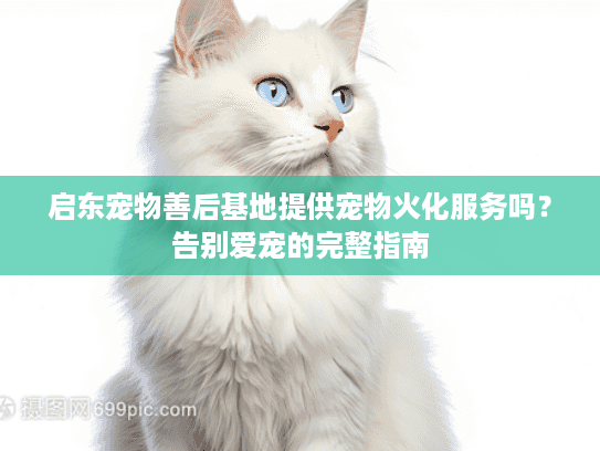 启东宠物善后基地提供宠物火化服务吗？告别爱宠的完整指南