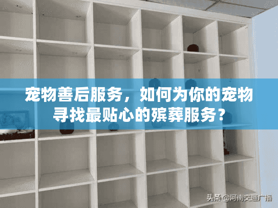 宠物善后服务，如何为你的宠物寻找最贴心的殡葬服务？