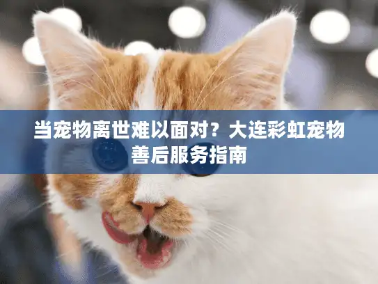 当宠物离世难以面对？大连彩虹宠物善后服务指南