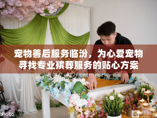 宠物善后服务临汾，为心爱宠物寻找专业殡葬服务的贴心方案