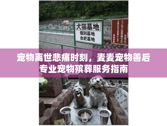宠物离世悲痛时刻，麦麦宠物善后专业宠物殡葬服务指南