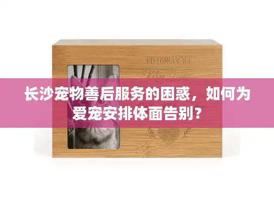 长沙宠物善后服务的困惑，如何为爱宠安排体面告别？
