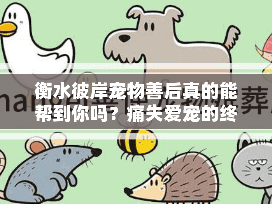 衡水彼岸宠物善后真的能帮到你吗？痛失爱宠的终极解决方案