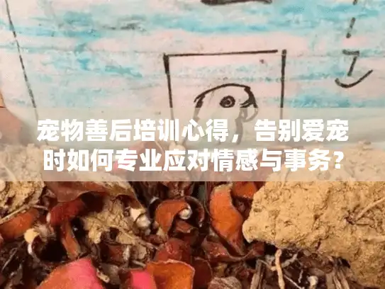 宠物善后培训心得，告别爱宠时如何专业应对情感与事务？