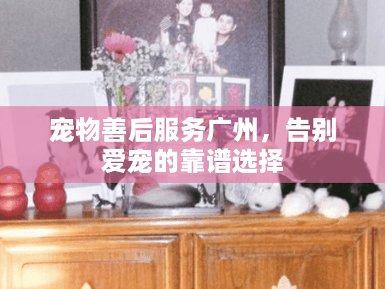 宠物善后服务广州，告别爱宠的靠谱选择