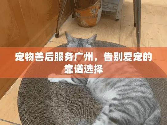 宠物善后服务广州，告别爱宠的靠谱选择