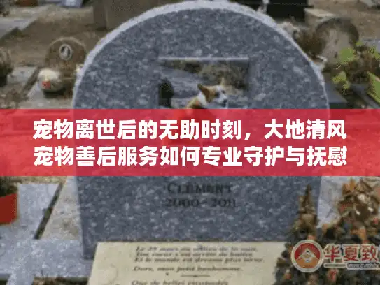 宠物离世后的无助时刻,大地清风宠物善后服务如何专业守护与抚慰? 宠物离世后的无助时刻,大地清风宠物善后服务如何专业守护与抚慰?