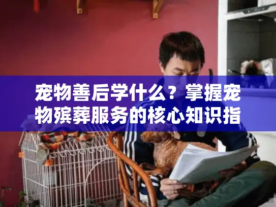 宠物善后学什么？掌握宠物殡葬服务的核心知识指南