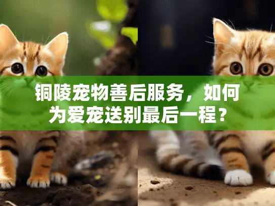 铜陵宠物善后服务，如何为爱宠送别最后一程？