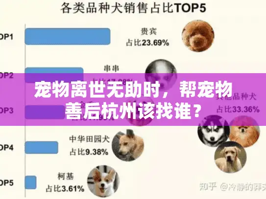 宠物离世无助时,帮宠物善后杭州该找谁? 宠物离世无助时,帮宠物善后杭州该找谁?
