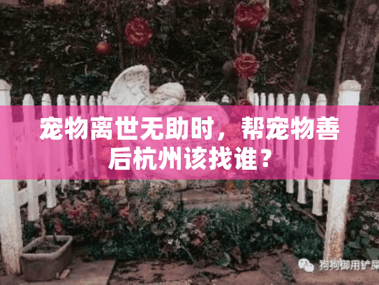 宠物离世无助时,帮宠物善后杭州该找谁? 宠物离世无助时,帮宠物善后杭州该找谁?