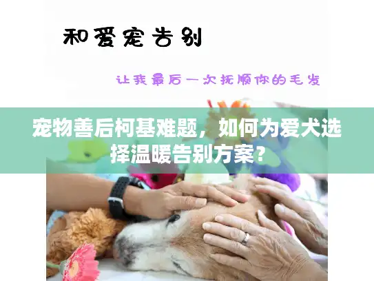 宠物善后柯基难题，如何为爱犬选择温暖告别方案？