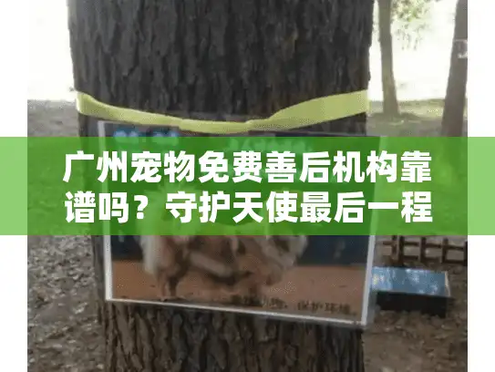 广州宠物免费善后机构靠谱吗？守护天使最后一程的实操指南