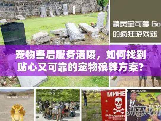 宠物善后服务涪陵，如何找到贴心又可靠的宠物殡葬方案？