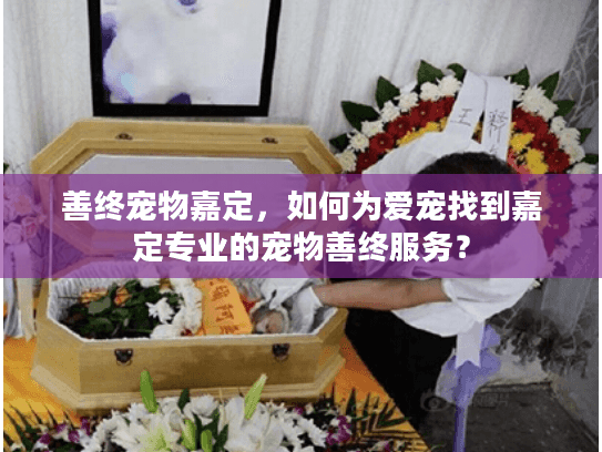善终宠物嘉定,如何为爱宠找到嘉定专业的宠物善终服务? 善终宠物嘉定,如何为爱宠找到嘉定专业的宠物善终服务?
