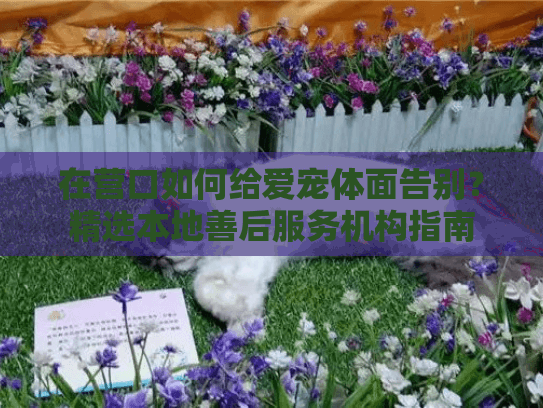 在营口如何给爱宠体面告别？精选本地善后服务机构指南