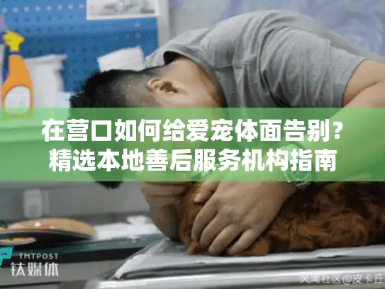 在营口如何给爱宠体面告别？精选本地善后服务机构指南