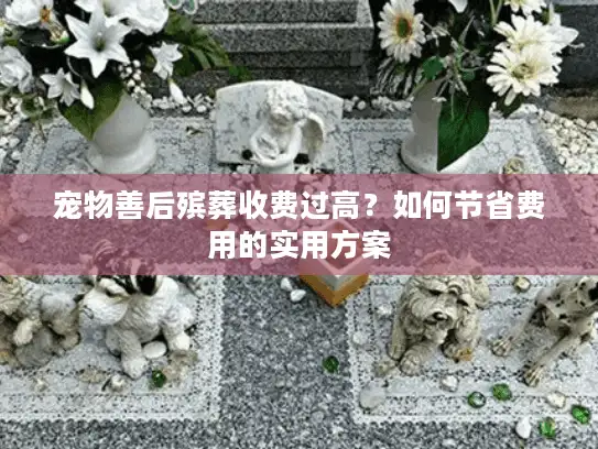 宠物善后殡葬收费过高?如何节省费用的实用方案 宠物善后殡葬收费过高?如何节省费用的实用方案