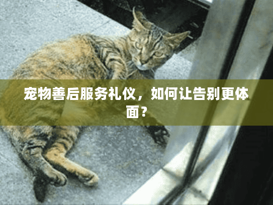 宠物善后服务礼仪,如何让告别更体面? 宠物善后服务礼仪,如何让告别更体面?