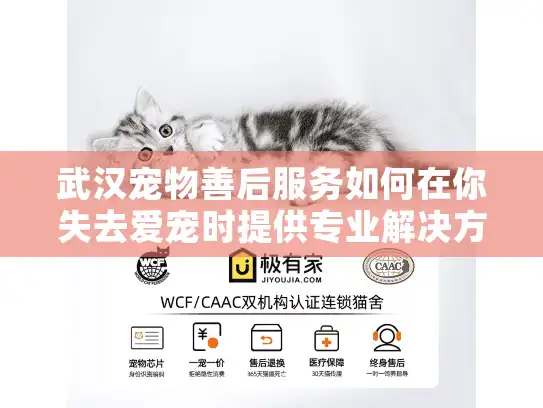 武汉宠物善后服务如何在你失去爱宠时提供专业解决方案？