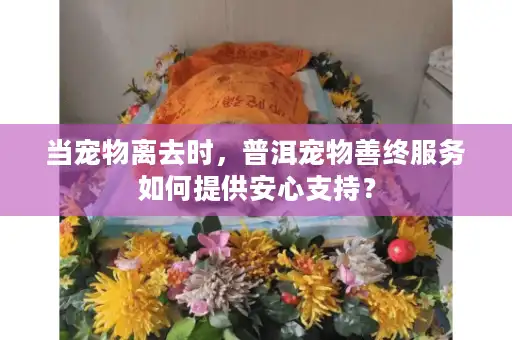 当宠物离去时，普洱宠物善终服务如何提供安心支持？