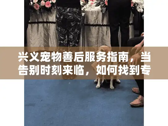 兴义宠物善后服务指南，当告别时刻来临，如何找到专业殡葬机构