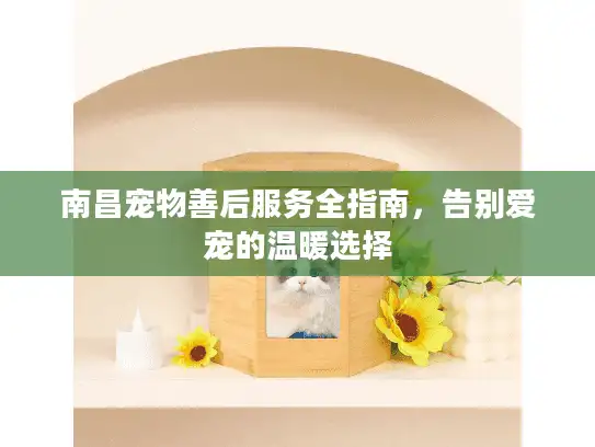 南昌宠物善后服务全指南,告别爱宠的温暖选择 南昌宠物善后服务全指南,告别爱宠的温暖选择