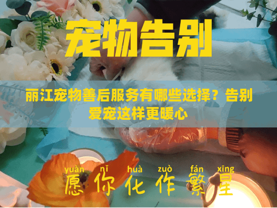 丽江宠物善后服务有哪些选择?告别爱宠这样更暖心 丽江宠物善后服务有哪些选择?告别爱宠这样更暖心