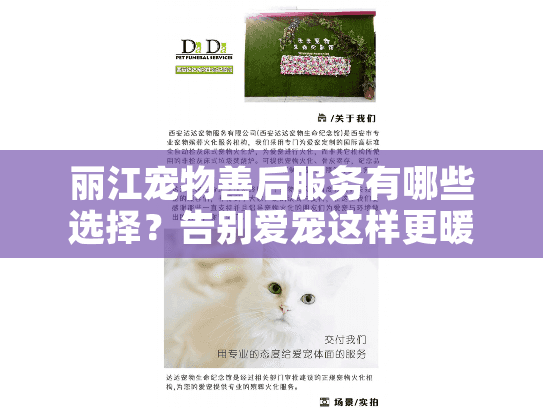 丽江宠物善后服务有哪些选择?告别爱宠这样更暖心 丽江宠物善后服务有哪些选择?告别爱宠这样更暖心