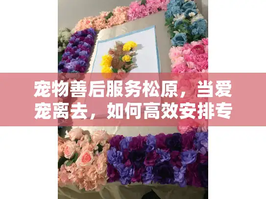 宠物善后服务松原，当爱宠离去，如何高效安排专业殡葬支持？