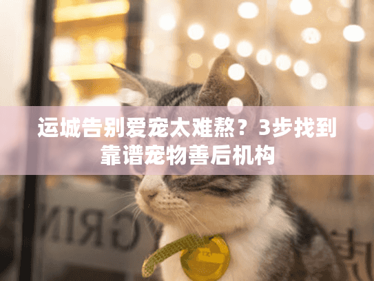 运城告别爱宠太难熬?3步找到靠谱宠物善后机构 运城告别爱宠太难熬?3步找到靠谱宠物善后机构