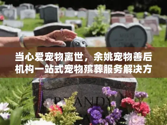 当心爱宠物离世，余姚宠物善后机构一站式宠物殡葬服务解决方案