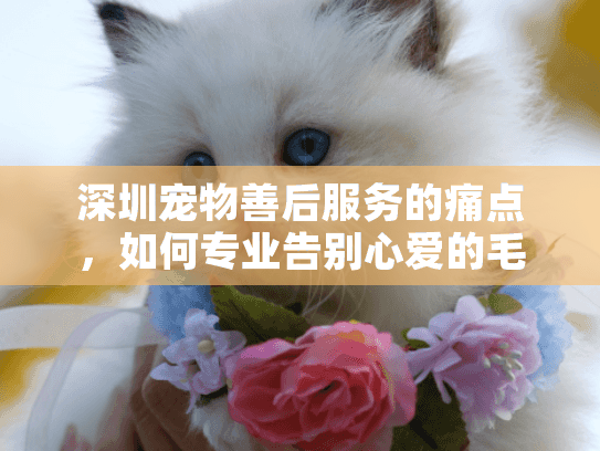 深圳宠物善后服务的痛点，如何专业告别心爱的毛孩子？