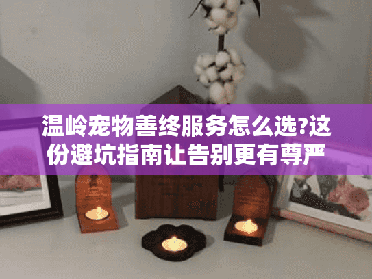 温岭宠物善终服务怎么选?这份避坑指南让告别更有尊严 温岭宠物善终服务怎么选?这份避坑指南让告别更有尊严