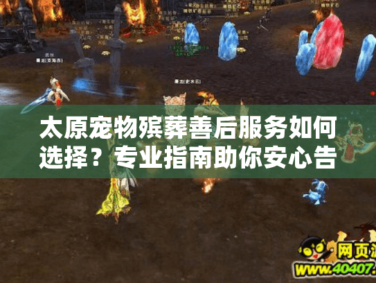 太原宠物殡葬善后服务如何选择?专业指南助你安心告别 太原宠物殡葬善后服务如何选择?专业指南助你安心告别
