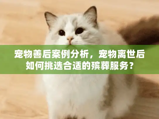宠物善后案例分析,宠物离世后如何挑选合适的殡葬服务? 宠物善后案例分析,宠物离世后如何挑选合适的殡葬服务?