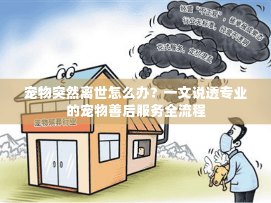 宠物突然离世怎么办？一文说透专业的宠物善后服务全流程
