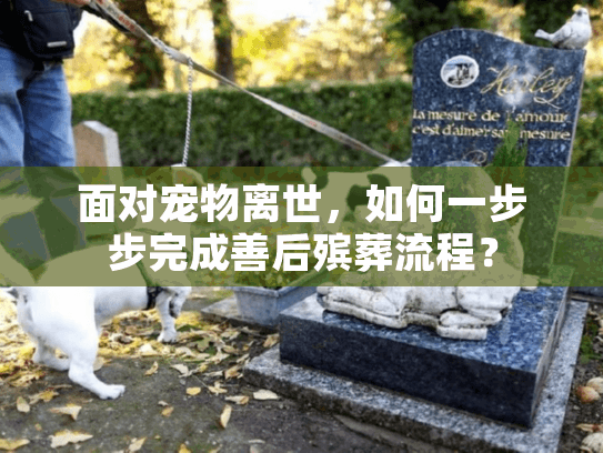 面对宠物离世,如何一步步完成善后殡葬流程? 面对宠物离世,如何一步步完成善后殡葬流程?